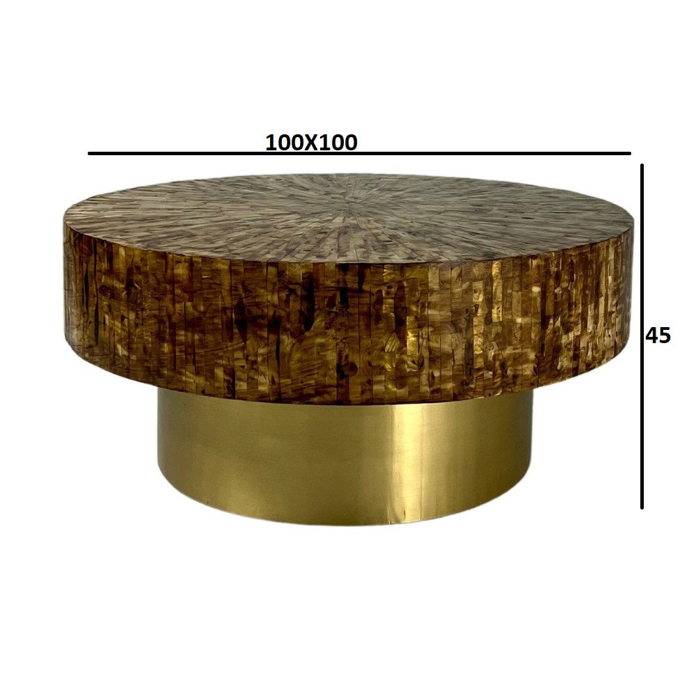 Moroccan Luxe Brown Coffee Table