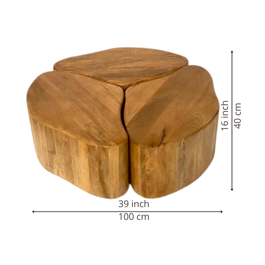 Modular Organic Wooden Nesting Coffee Table Set