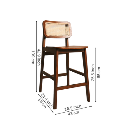 Modern Bar Chair