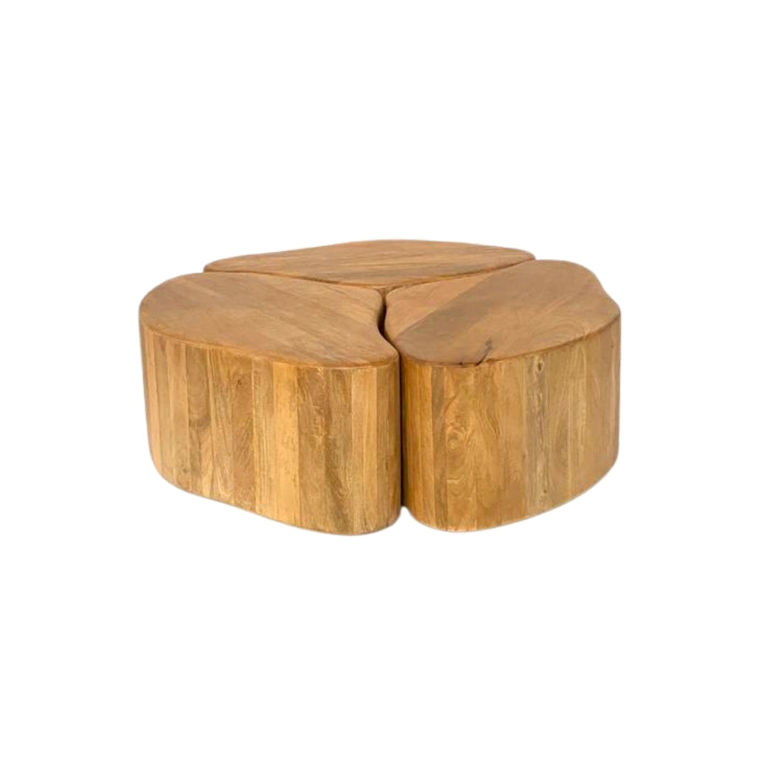 Modular Organic Wooden Nesting Coffee Table Set