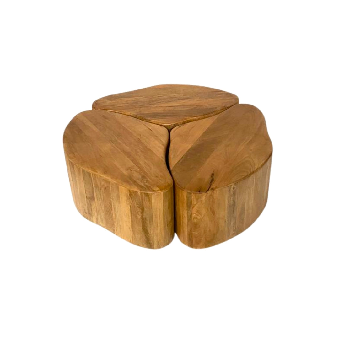 Modular Organic Wooden Nesting Coffee Table Set