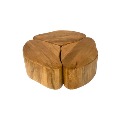 Modular Organic Wooden Nesting Coffee Table Set