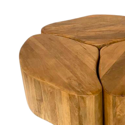 Modular Organic Wooden Nesting Coffee Table Set