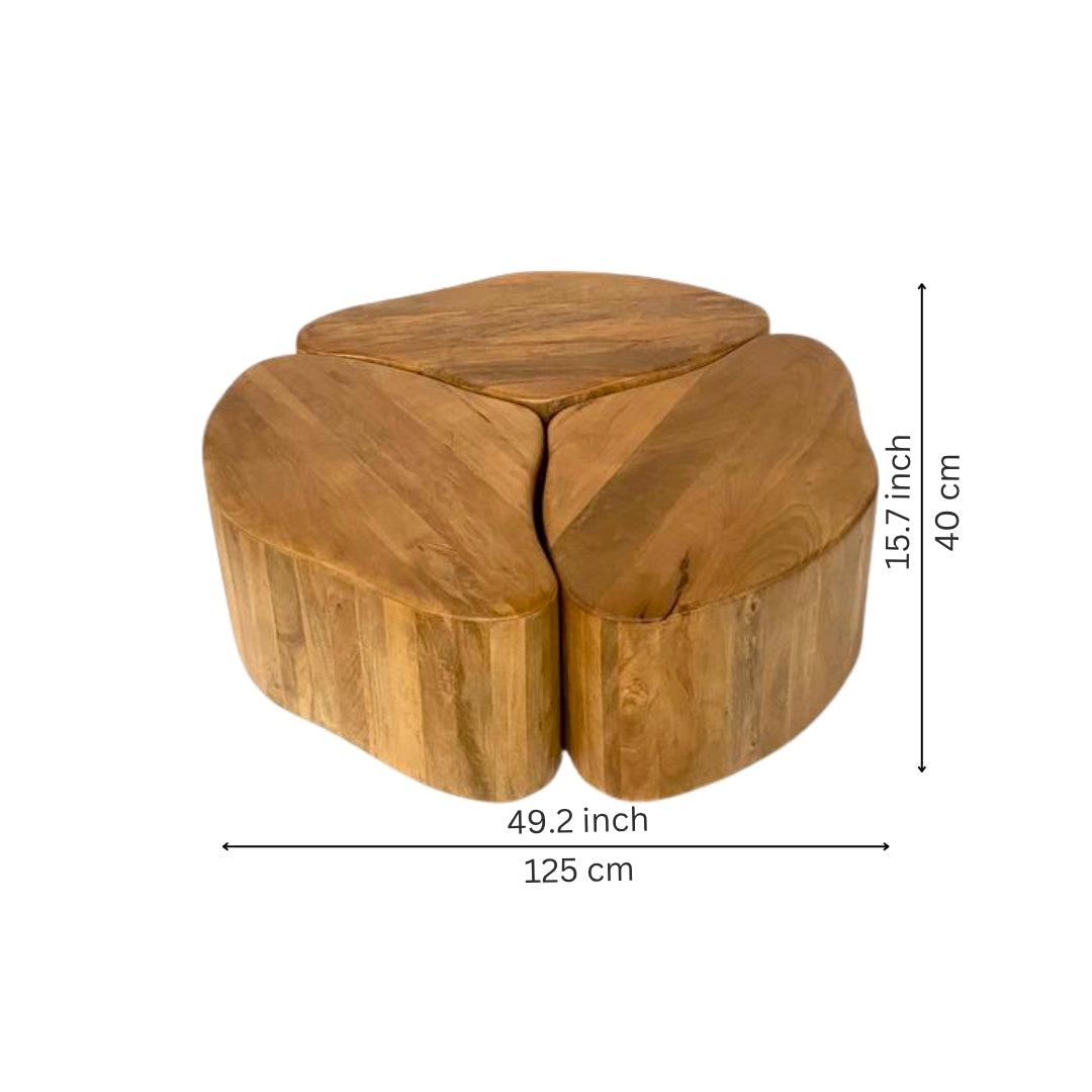 Modular Organic Wooden Nesting Coffee Table Set