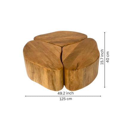 Modular Organic Wooden Nesting Coffee Table Set