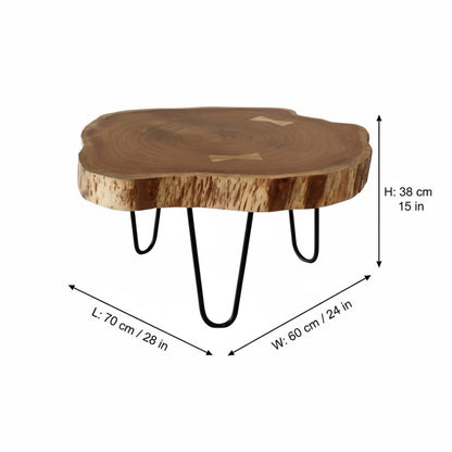 Indian Hub Natural Finish Coffee Table