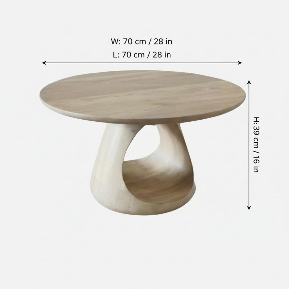 Indian Hub Whole Coffee Table