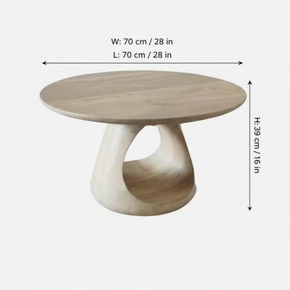 Indian Hub Whole Coffee Table